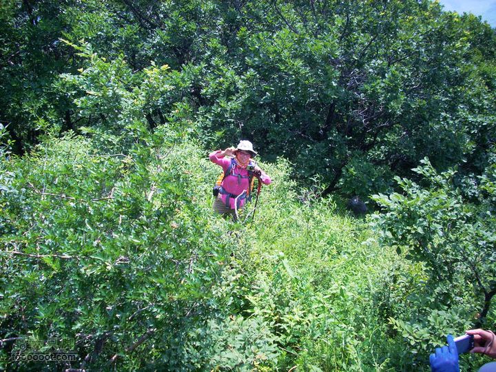 铁岭大荒顶子登山DSCN1608
