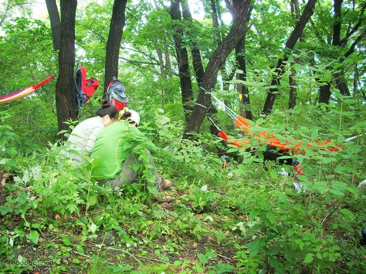 铁岭大荒顶子登山DSCN1633