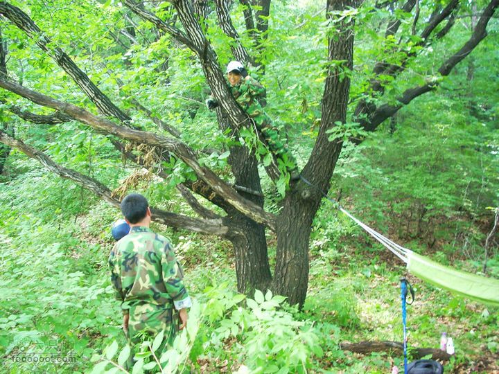 铁岭大荒顶子登山DSCN1639