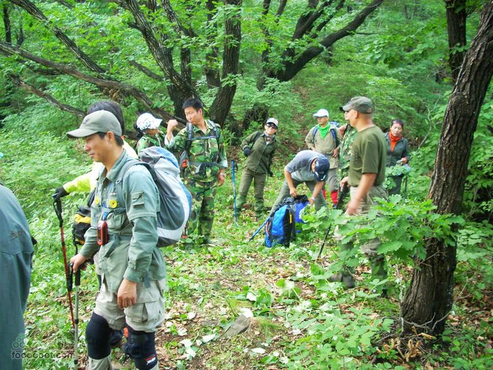 铁岭大荒顶子登山DSCN1648