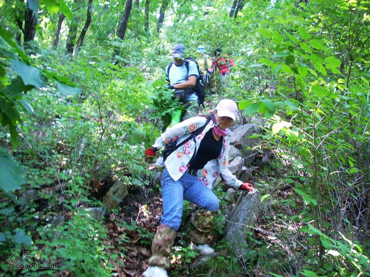 铁岭大荒顶子登山DSCN1659
