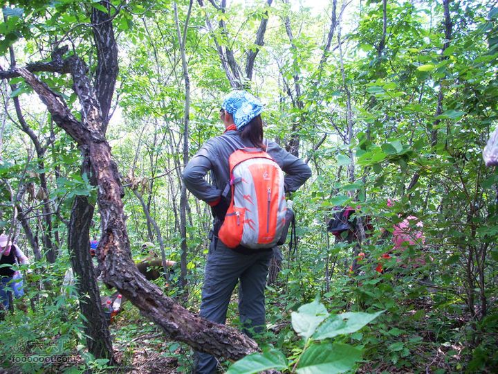 铁岭大荒顶子登山DSCN1661