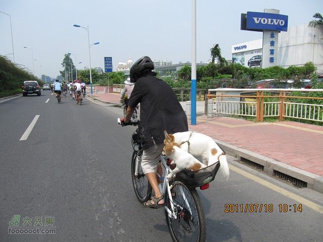 2011.7.10.去广州贺九头鸟鼎盛森车行搬迁开业活动IMG_2839_眸目压缩