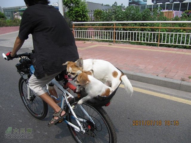 2011.7.10.去广州贺九头鸟鼎盛森车行搬迁开业活动IMG_2840_眸目压缩