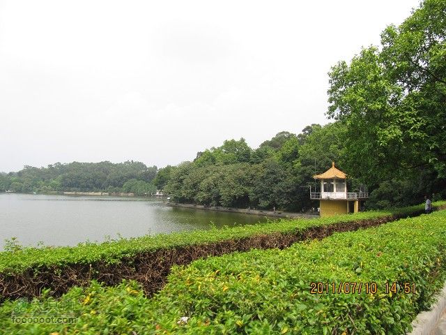 2011.7.10.去广州贺九头鸟鼎盛森车行搬迁开业活动IMG_2981_眸目压缩