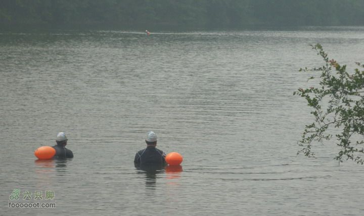 110710，余杭，甘岭水库水库中游泳的人和他们的跟屁虫