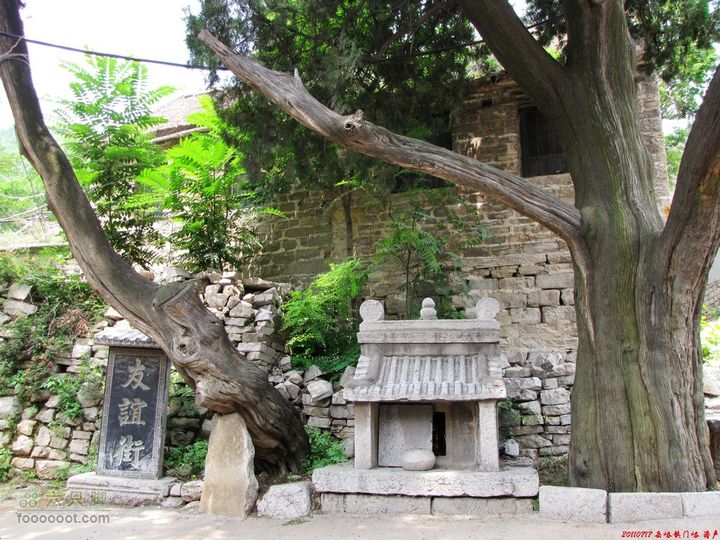 博山行者峪黄连峪镇门峪村里的古树