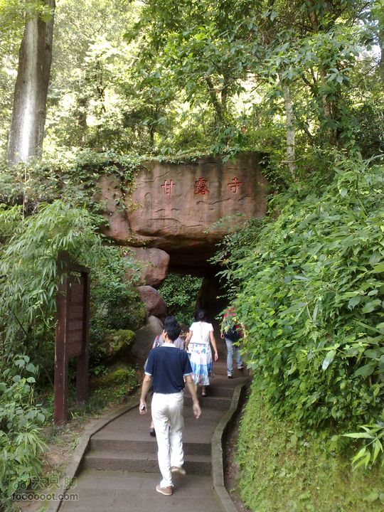 泰宁-大金湖-上清溪漂流-寨下大峡谷-二日游201107162631
