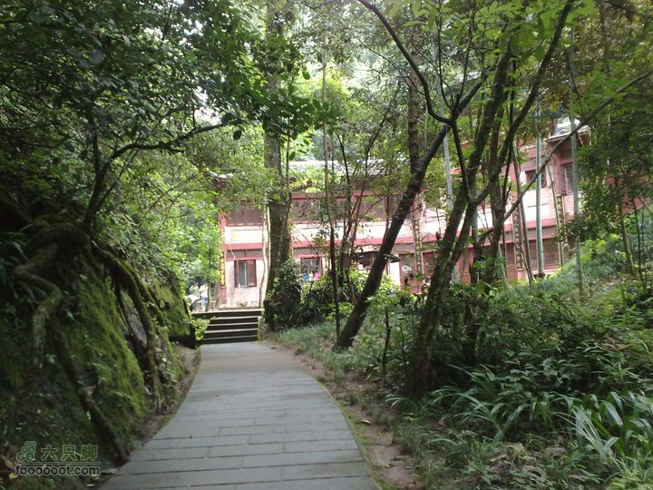 泰宁-大金湖-上清溪漂流-寨下大峡谷-二日游201107162675