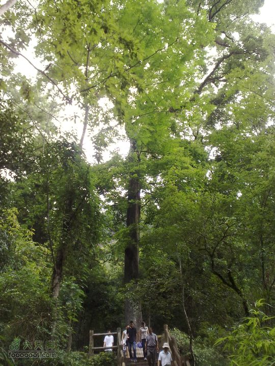 泰宁-大金湖-上清溪漂流-寨下大峡谷-二日游201107162686