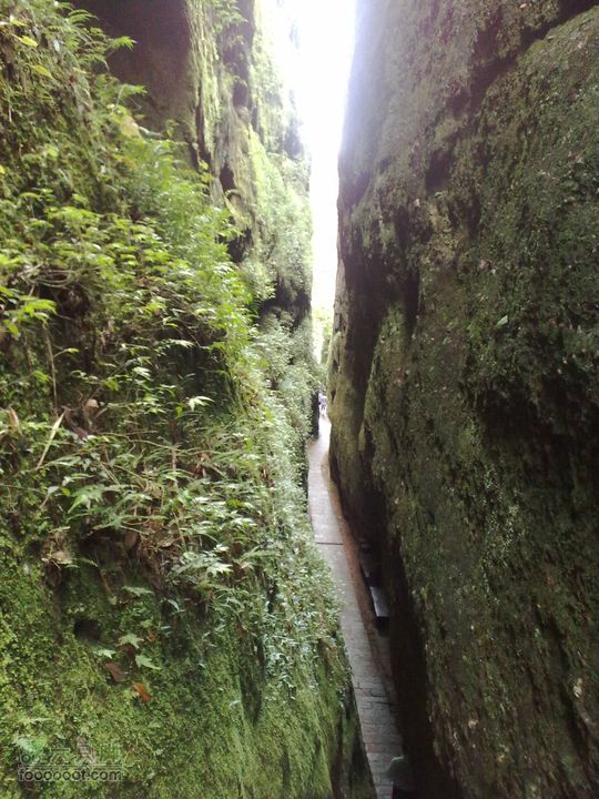 泰宁-大金湖-上清溪漂流-寨下大峡谷-二日游201107162744