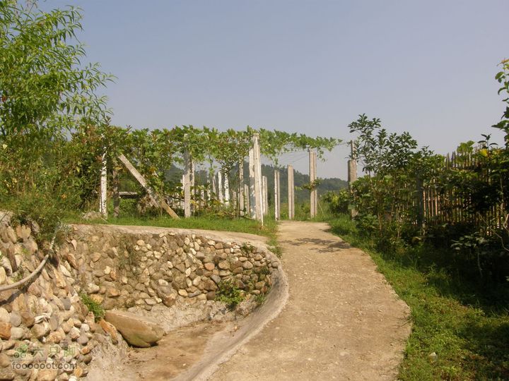 文化之旅-寻《遥望南方的童年》拍摄地P7233725