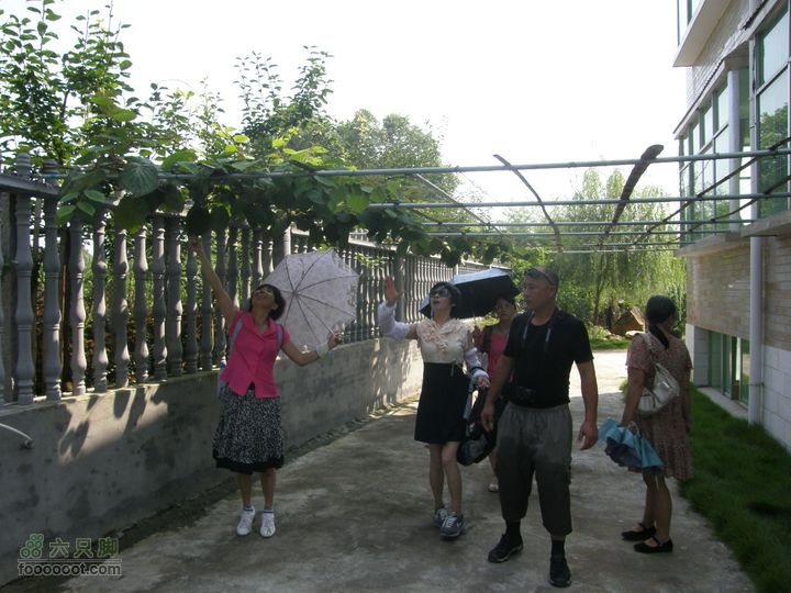 文化之旅-寻《遥望南方的童年》拍摄地P7233722
