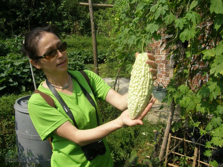 文化之旅-寻《遥望南方的童年》拍摄地P7233734
