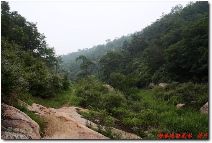 鲁山郝峪大迪极花林 谷口可见