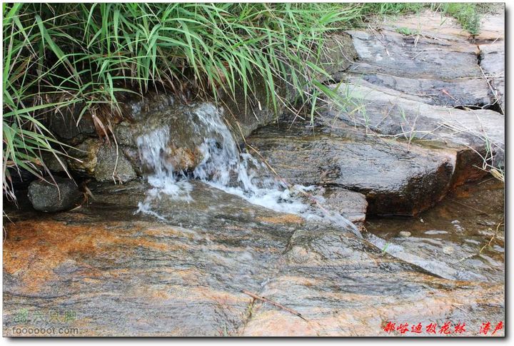 鲁山郝峪大迪极花林 一路溪水潺潺
