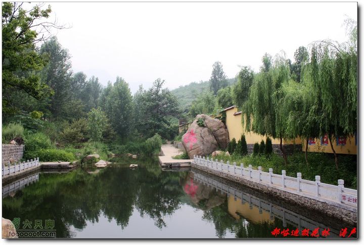 鲁山郝峪大迪极花林 寺外风景如画