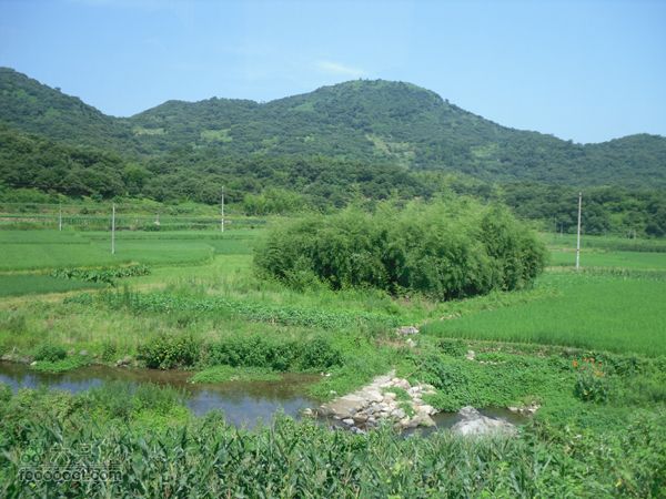 红色之旅同学会（20周年）SDC12285