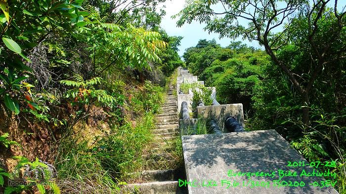 2011 07 28 山頂、港島徑、北角P1410146