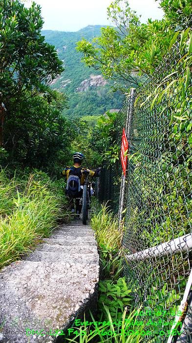 2011 07 28 山頂、港島徑、北角P1410181