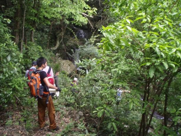 2011-7-24梧桐山老虎涧溯溪20110724梧桐山老虎溯溪 (43)