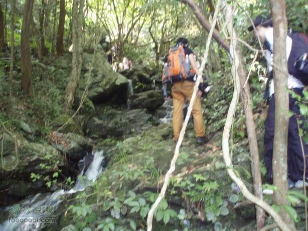 2011-7-24梧桐山老虎涧溯溪20110724梧桐山老虎溯溪 (49)