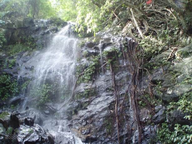 2011-7-24梧桐山老虎涧溯溪20110724梧桐山老虎溯溪 (51)