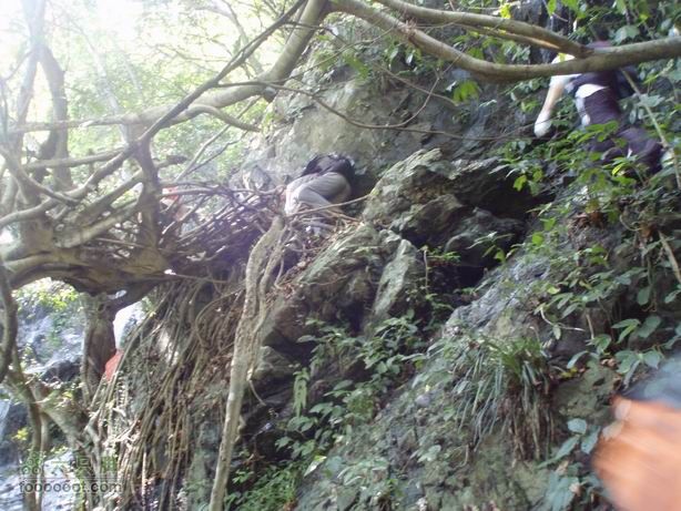 2011-7-24梧桐山老虎涧溯溪20110724梧桐山老虎溯溪 (57)