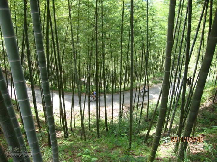 沙县富口莲花山IMG_5824