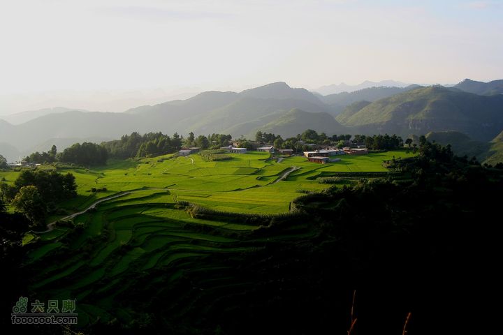 高山台地草原_MG_4503_缩小大小