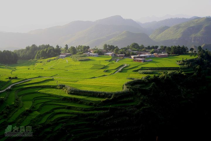 高山台地草原_MG_4504_缩小大小