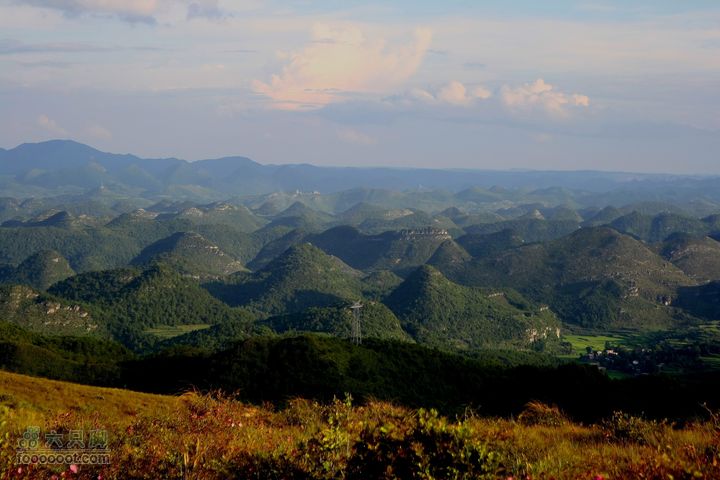 高山台地草原_MG_4501_缩小大小