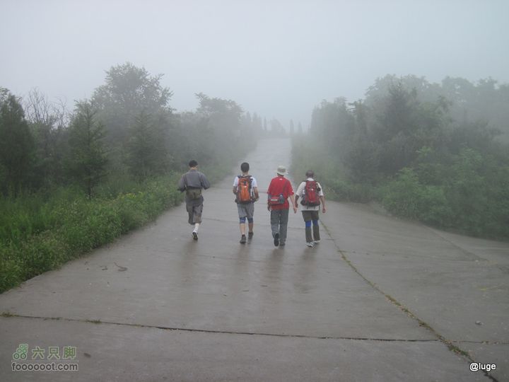 海登香山老爷沟打鹰洼新望京樱桃沟植物园20110806IMG_4415