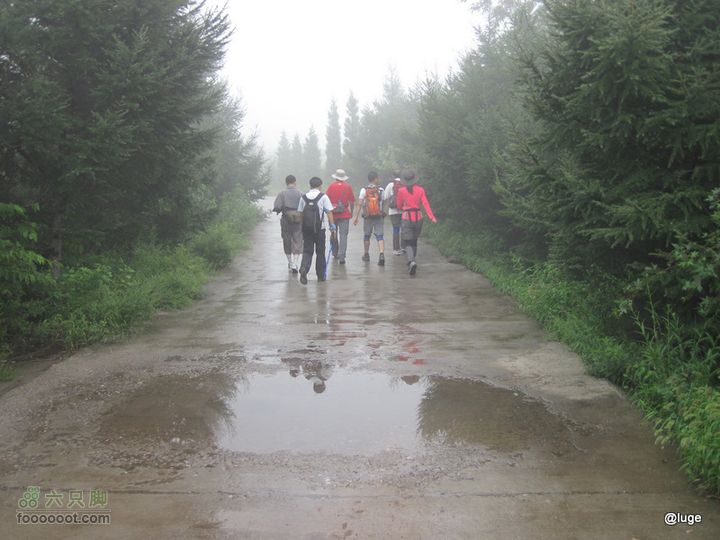 海登香山老爷沟打鹰洼新望京樱桃沟植物园20110806IMG_4418