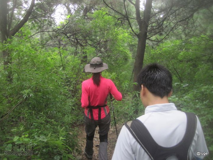 海登香山老爷沟打鹰洼新望京樱桃沟植物园20110806IMG_4424