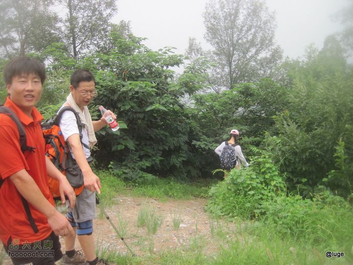海登香山老爷沟打鹰洼新望京樱桃沟植物园20110806IMG_4425