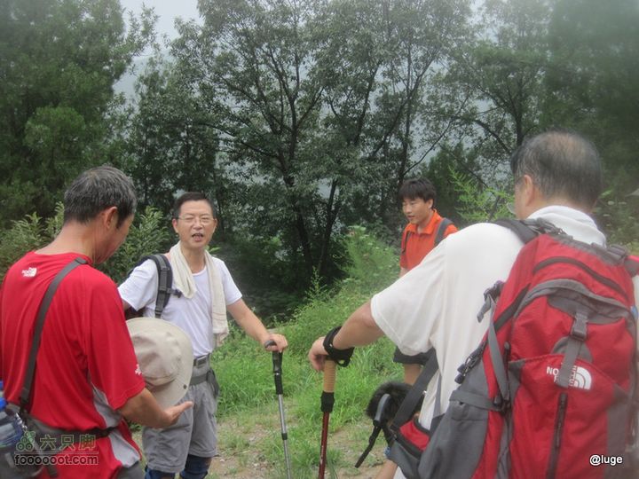 海登香山老爷沟打鹰洼新望京樱桃沟植物园20110806IMG_4430
