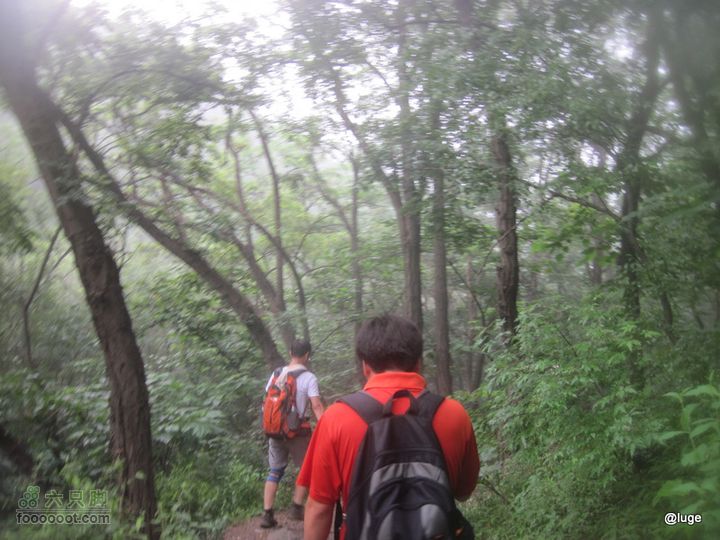 海登香山老爷沟打鹰洼新望京樱桃沟植物园20110806IMG_4431