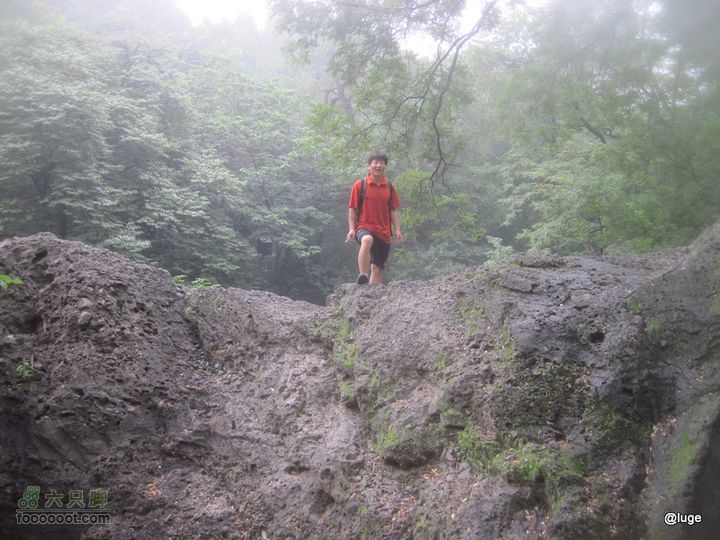 海登香山老爷沟打鹰洼新望京樱桃沟植物园20110806IMG_4432