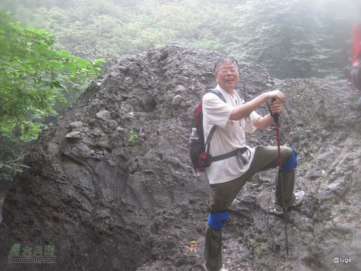 海登香山老爷沟打鹰洼新望京樱桃沟植物园20110806IMG_4435