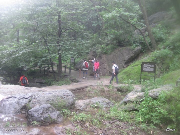 海登香山老爷沟打鹰洼新望京樱桃沟植物园20110806IMG_4453