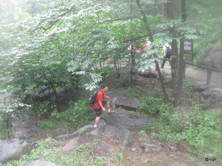 海登香山老爷沟打鹰洼新望京樱桃沟植物园20110806IMG_4454