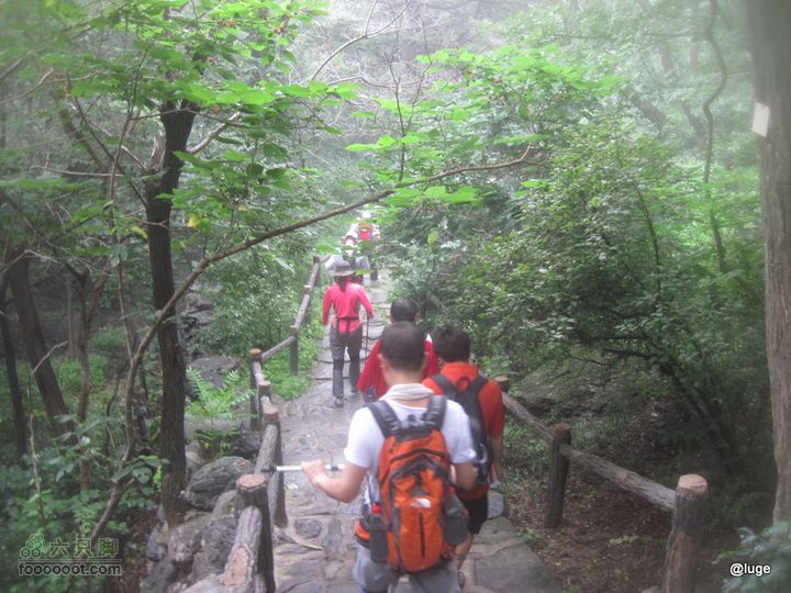 海登香山老爷沟打鹰洼新望京樱桃沟植物园20110806IMG_4455