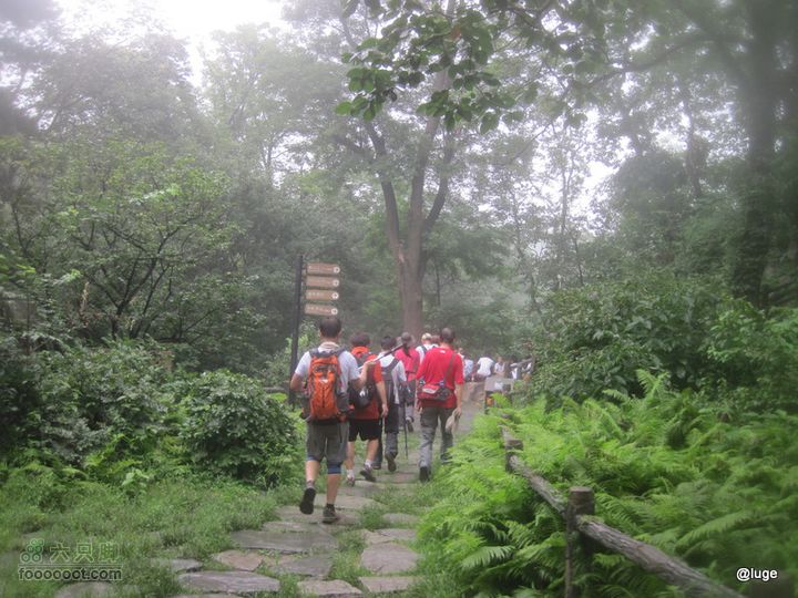 海登香山老爷沟打鹰洼新望京樱桃沟植物园20110806IMG_4458