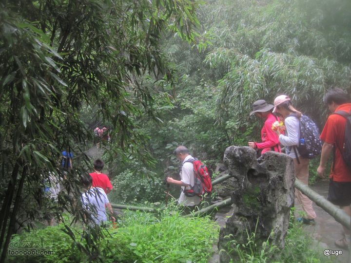 海登香山老爷沟打鹰洼新望京樱桃沟植物园20110806IMG_4460