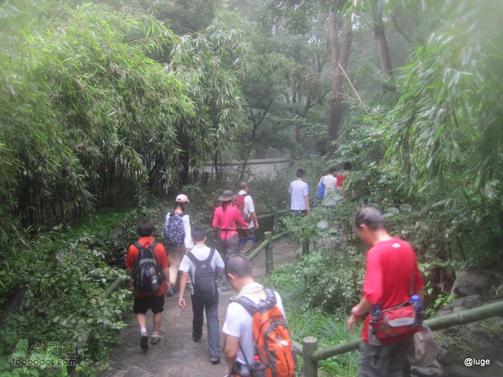 海登香山老爷沟打鹰洼新望京樱桃沟植物园20110806IMG_4461