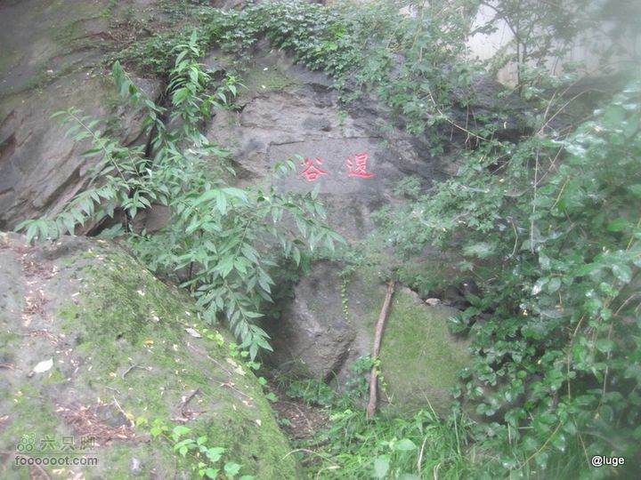海登香山老爷沟打鹰洼新望京樱桃沟植物园20110806IMG_4467