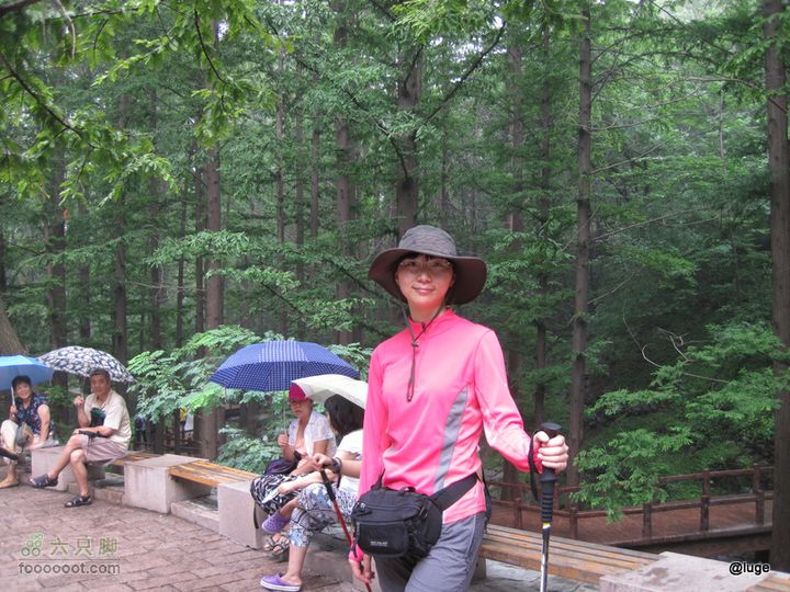 海登香山老爷沟打鹰洼新望京樱桃沟植物园20110806IMG_4470