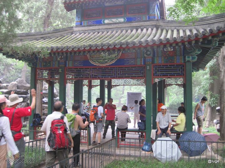 海登香山老爷沟打鹰洼新望京樱桃沟植物园20110806IMG_4475