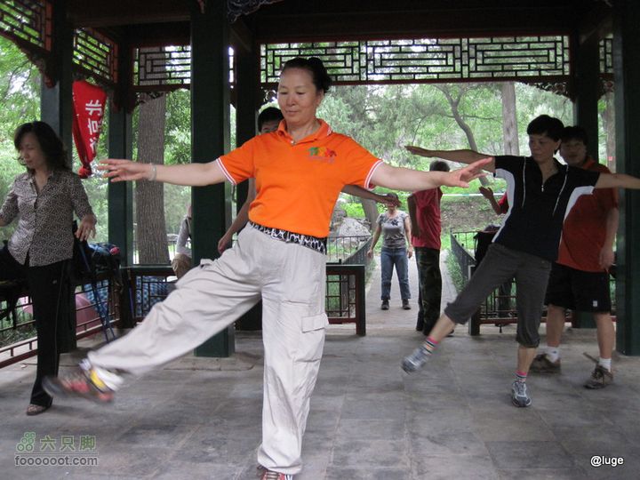 海登香山老爷沟打鹰洼新望京樱桃沟植物园20110806IMG_4480